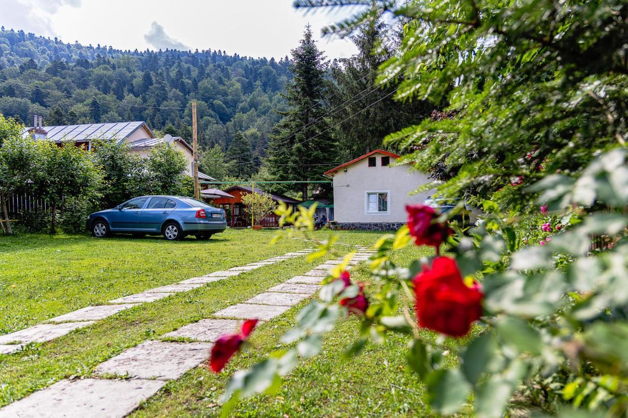 Pensiunea Montan Busteni Hotel Luaran gambar